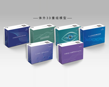 3D皮膚模型
